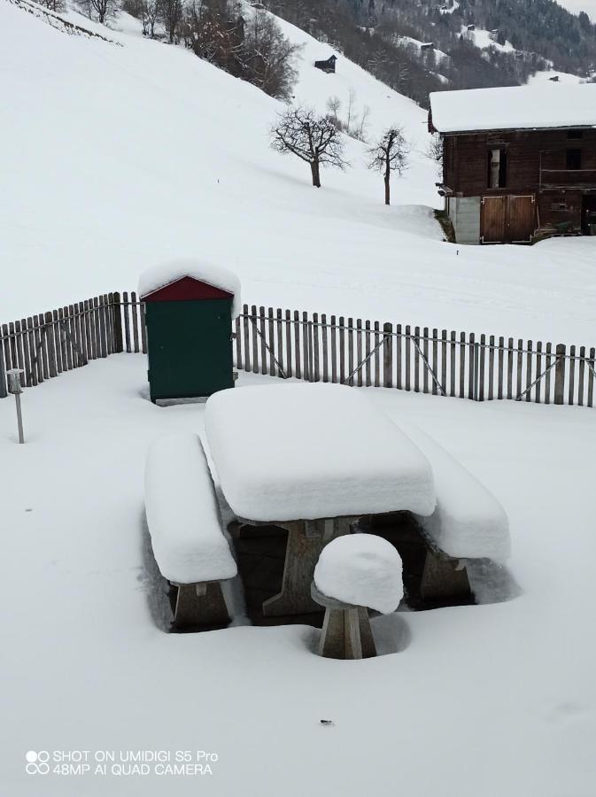 Casa Steilalva - Grosszuegiges Chalet Fuer Erholsamen Familienurlaub Surrein Екстериор снимка