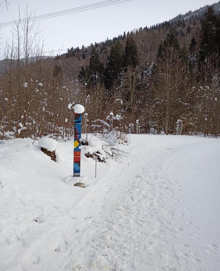 Casa Steilalva - Grosszuegiges Chalet Fuer Erholsamen Familienurlaub Surrein Екстериор снимка