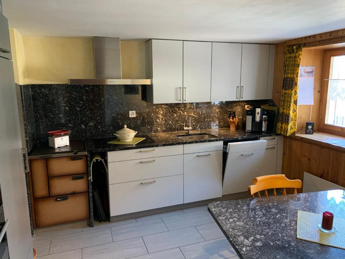 Casa Steilalva - Grosszuegiges Chalet Fuer Erholsamen Familienurlaub Surrein Екстериор снимка