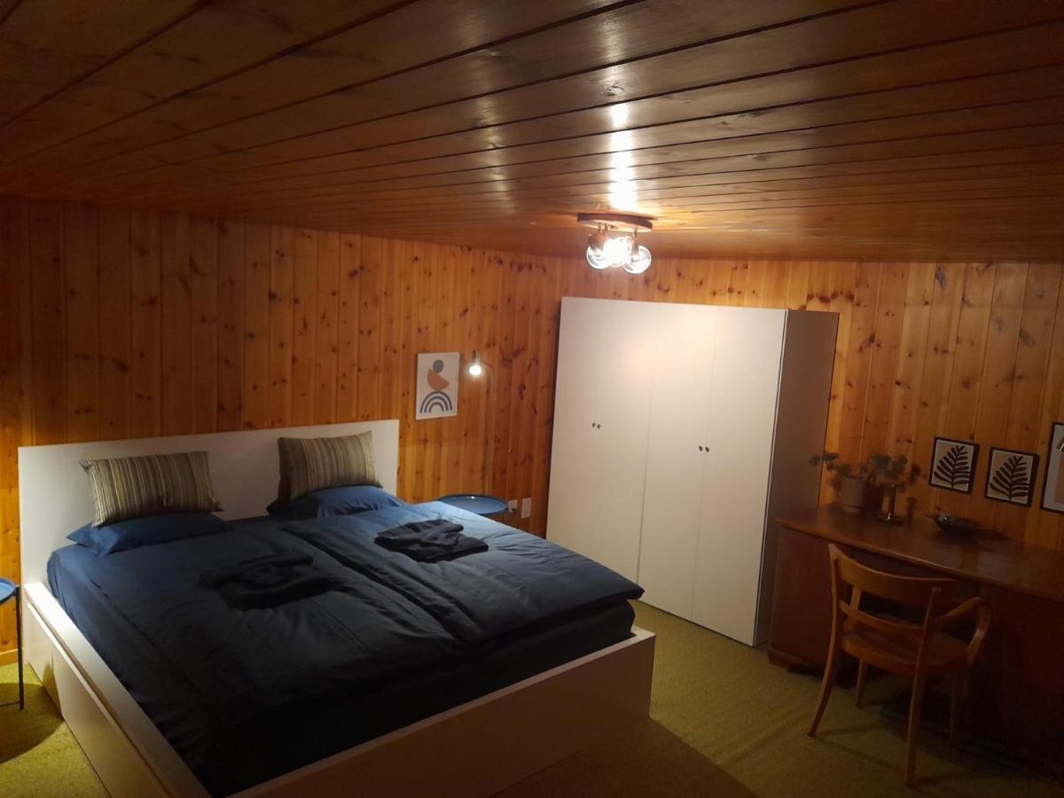 Casa Steilalva - Grosszuegiges Chalet Fuer Erholsamen Familienurlaub Surrein Екстериор снимка
